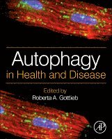 Roberta A. Gottlieb - Autophagy in Health and Disease, Inbunden. Tillgänglighet: Lägg i varukorg