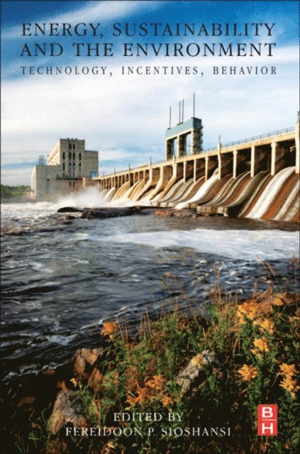 Fereidoon Sioshansi - Energy, Sustainability and the Environment, E-bok