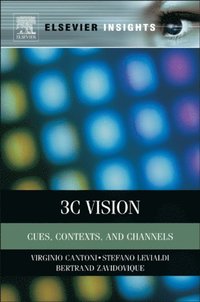 3C Vision