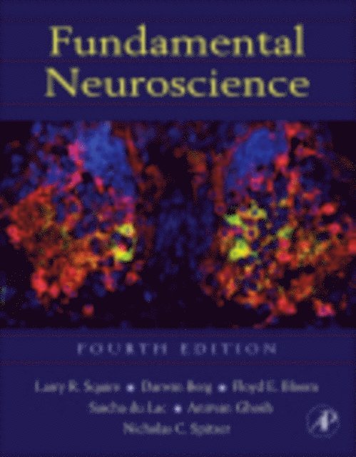 Nicholas C. Spitzer, Anirvan Ghosh, Sascha du Lac, Floyd E. Bloom, Darwin Berg, Larry Squire - Fundamental Neuroscience, E-bok