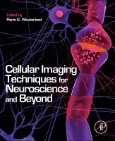 Floris G. Wouterlood - Cellular Imaging Techniques for Neuroscience and Beyond, Inbunden. Tillgänglighet: Lägg i varukorg