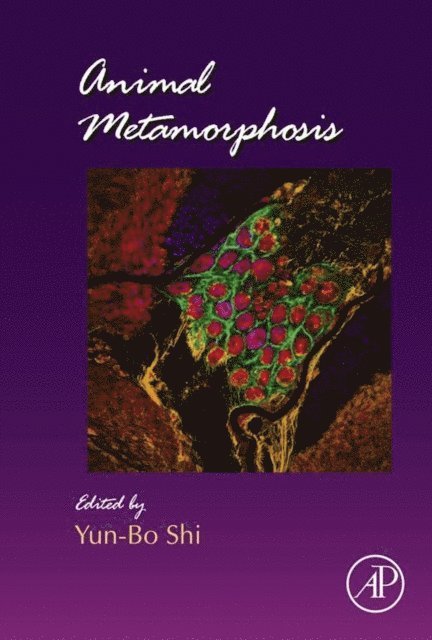 Animal Metamorphosis