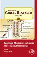Guidance Molecules in Cancer and Tumor Angiogenesis