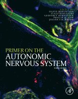 Phillip A. Low - Primer on the Autonomic Nervous System, Häftad