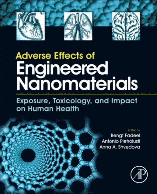 Anna A. Shvedova, Antonio Pietroiusti, Bengt Fadeel - Adverse Effects of Engineered Nanomaterials, E-bok