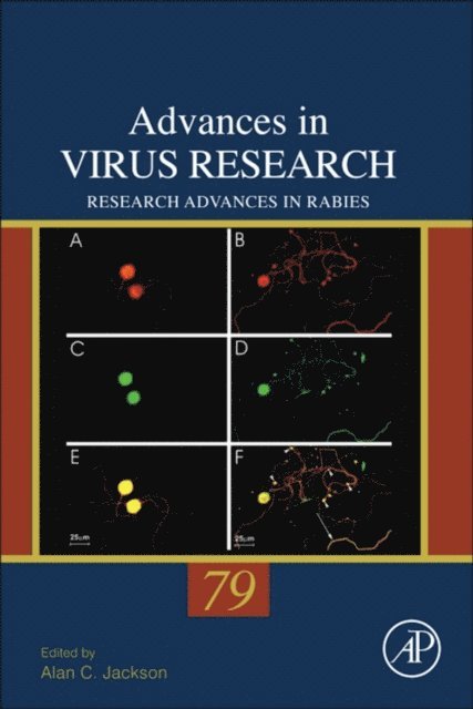 Research Advances in Rabies, E-bok