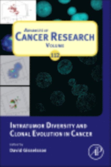 David Gisselsson - Intratumor Diversity and Clonal Evolution in Cancer, E-bok