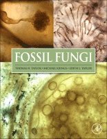 Thomas N Taylor, Michael Krings, Edith L. Taylor - Fossil Fungi, Inbunden. Tillgänglighet: Lägg i varukorg