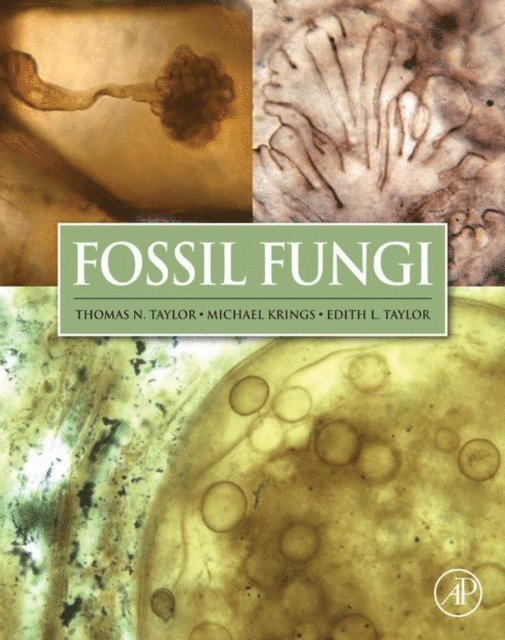 Edith L. Taylor, Michael Krings, Thomas N Taylor - Fossil Fungi, E-bok. Tillgänglighet: Lägg i varukorg
