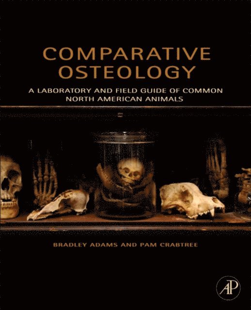 Pam Crabtree, Bradley Adams - Comparative Osteology, E-bok