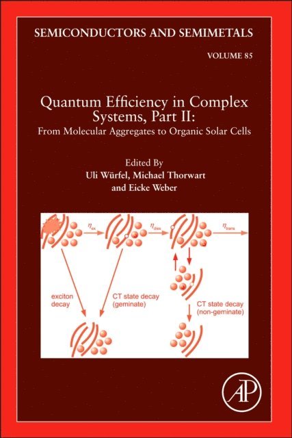 Quantum Efficiency in Complex Systems, Part II: From Molecular Aggregates to Organic Solar Cells, E-bok