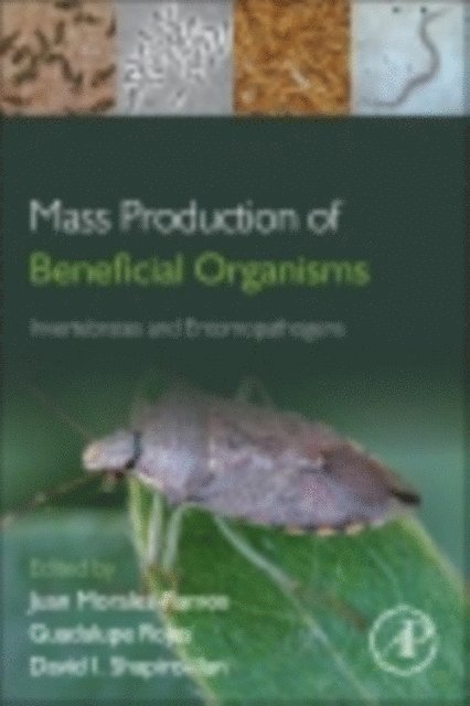 David I. Shapiro-Ilan, M. Guadalupe Rojas, Juan A. Morales-Ramos - Mass Production of Beneficial Organisms, E-bok