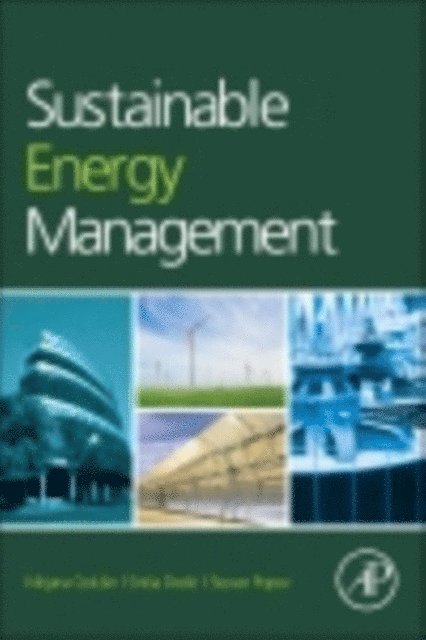 Sinisa Dodic, Stevan Popov, Mirjana Radovanovic - Sustainable Energy Management, E-bok. Tillgänglighet: Lägg i varukorg