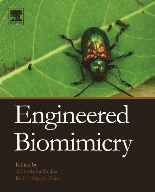 Raul Jose Martin-Palma, Akhlesh Lakhtakia - Engineered Biomimicry, E-bok