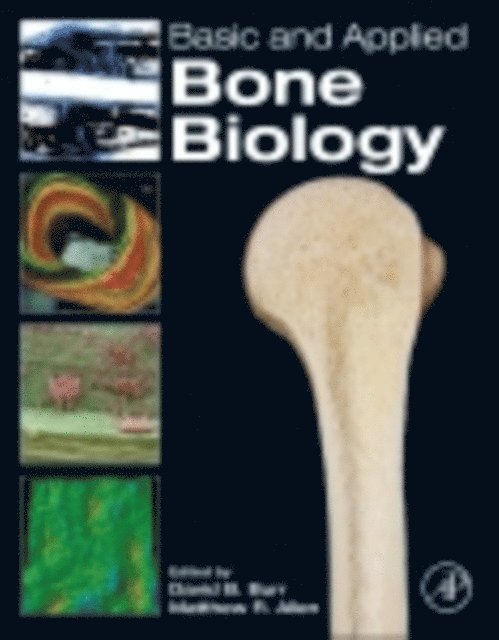 Matthew R. Allen, David B. Burr - Basic and Applied Bone Biology, E-bok. Tillgänglighet: Lägg i varukorg