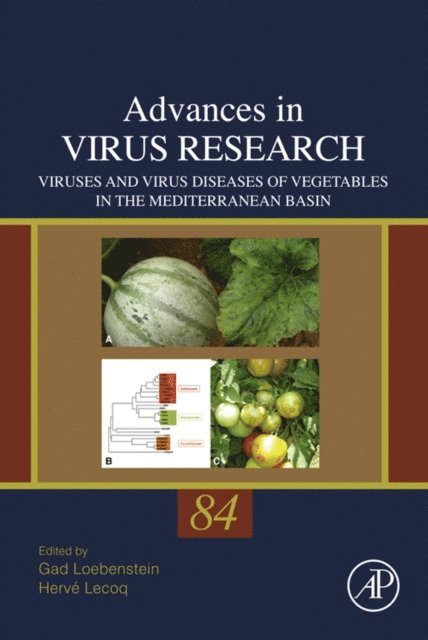 Viruses and Virus Diseases of Vegetables in the Mediterranean Basin, E-bok