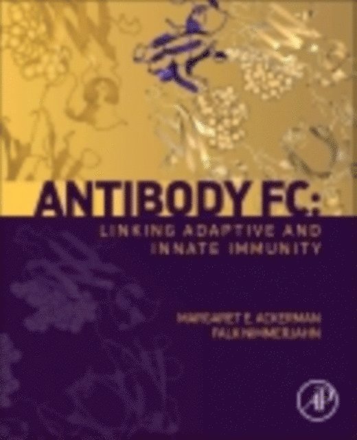 Falk Nimmerjahn, Margaret Ackerman - Antibody Fc, E-bok