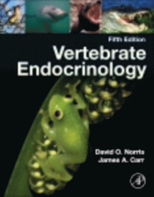 James A. Carr, David O. Norris - Vertebrate Endocrinology, E-bok