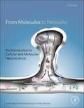 From Molecules to Networks