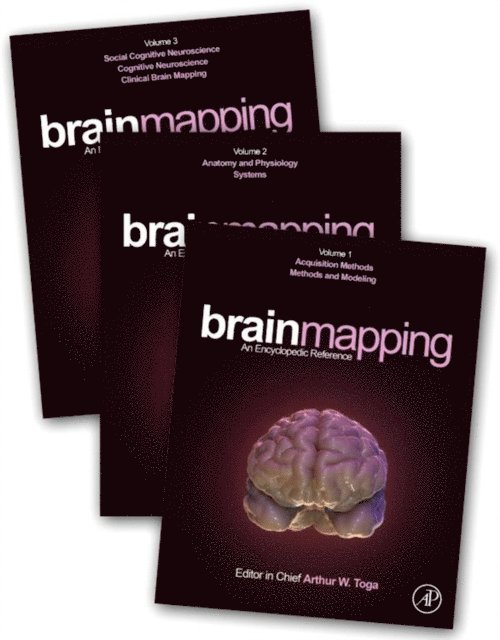 Brain Mapping, E-bok