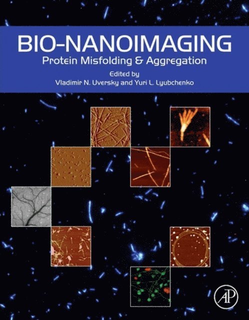 Yuri Lyubchenko, Vladimir N Uversky - Bio-nanoimaging, E-bok