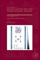 Computational Neuroscience, Inbunden