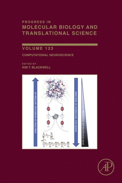 Computational Neuroscience, E-bok