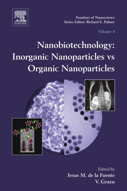 Nanobiotechnology, E-bok