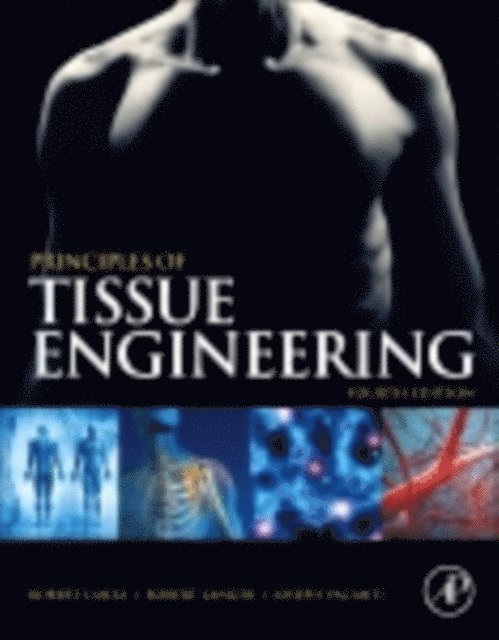 Joseph P. Vacanti, Robert Langer, Robert Lanza - Principles of Tissue Engineering, E-bok