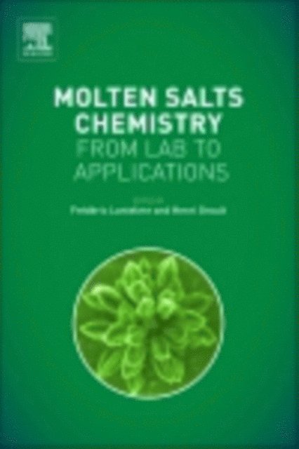 Henri Groult, Frederic Lantelme - Molten Salts Chemistry, E-bok