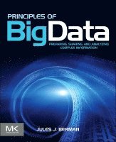 Principles of Big Data av Jules J Berman