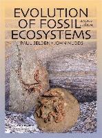 Paul Selden, John Nudds - Evolution of Fossil Ecosystems, Häftad. Tillgänglighet: Tillfälligt slut