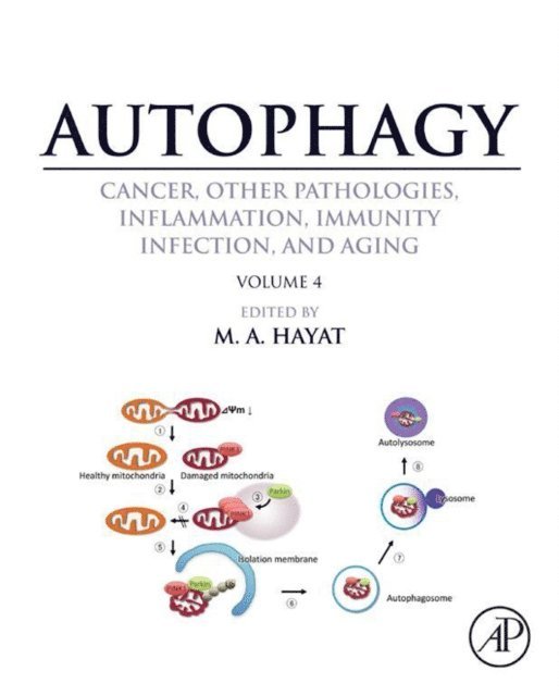 M. A. Hayat - Autophagy: Cancer, Other Pathologies, Inflammation, Immunity, Infection, and Aging, E-bok