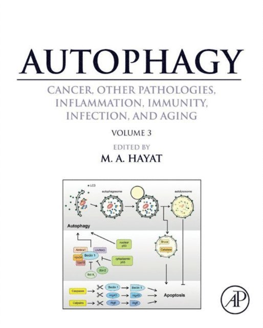 M. A. Hayat - Autophagy: Cancer, Other Pathologies, Inflammation, Immunity, Infection, and Aging, E-bok