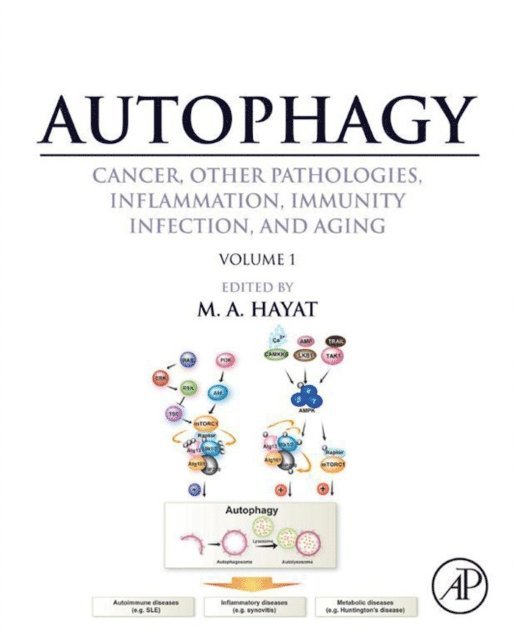 M. A. Hayat - Autophagy: Cancer, Other Pathologies, Inflammation, Immunity, Infection, and Aging, E-bok