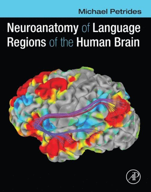 Michael Petrides - Neuroanatomy of Language Regions of the Human Brain, E-bok