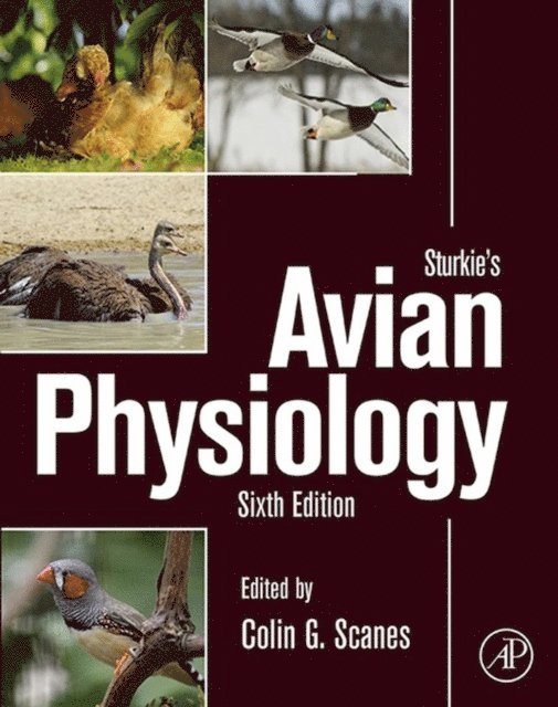 Colin G. Scanes - Sturkie's Avian Physiology, E-bok