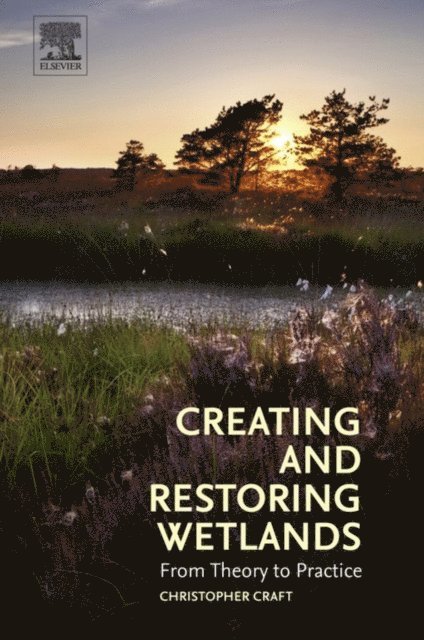 Christopher Craft - Creating and Restoring Wetlands, E-bok