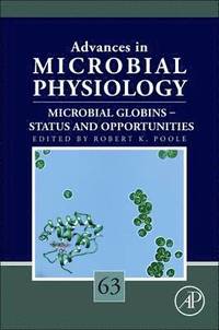 Microbial Globins - Status and Opportunities