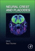 Paul Trainor - Neural Crest and Placodes, Inbunden. Tillgänglighet: Lägg i varukorg