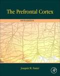 The Prefrontal Cortex