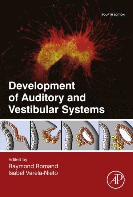 Isabel Varela-Nieto, Raymond Romand - Development of Auditory and Vestibular Systems, E-bok