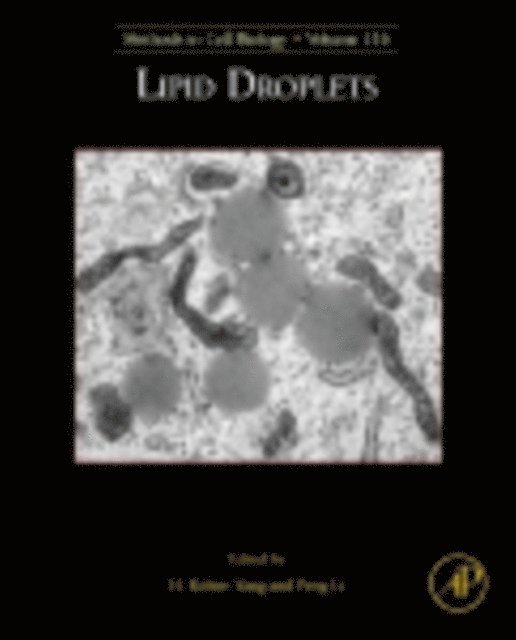 Peng Li, H. Robert Yang - Lipid Droplets, E-bok
