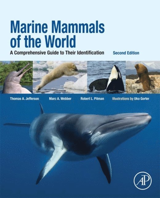Robert L. Pitman, Thomas Allen Jefferson, Marc A. Webber - Marine Mammals of the World, E-bok
