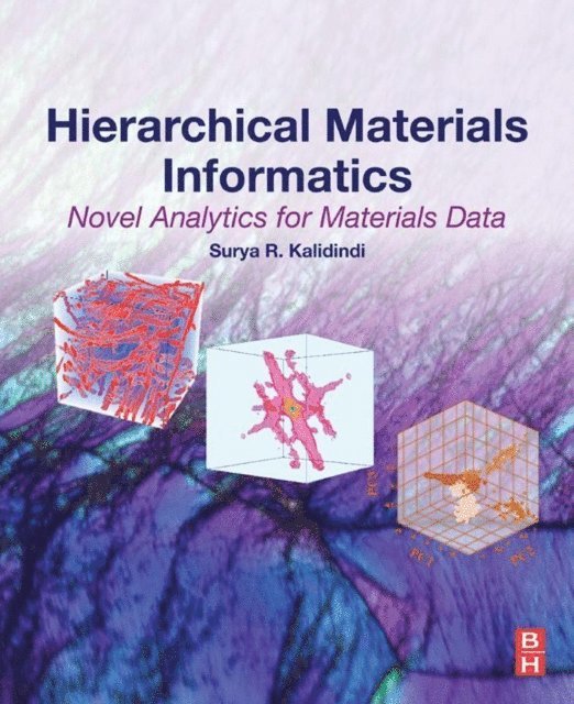 Surya R. Kalidindi - Hierarchical Materials Informatics, E-bok