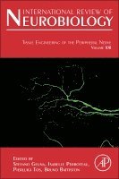 Tissue Engineering of the Peripheral Nerve