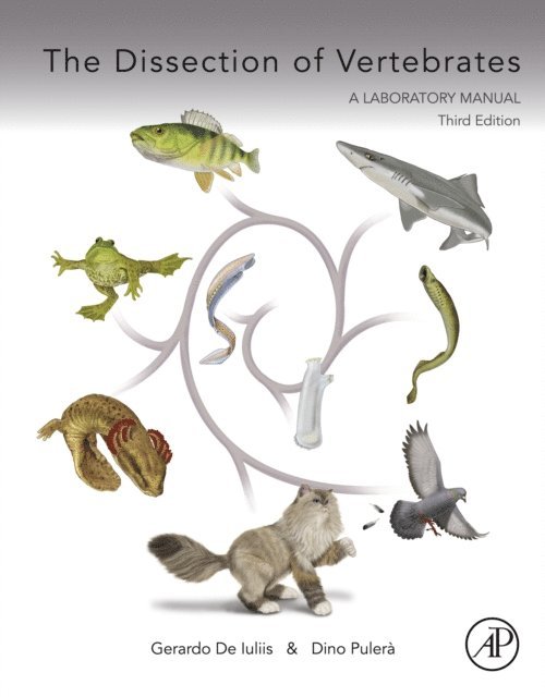 Dino Pulera, Gerardo De Iuliis - Dissection of Vertebrates, E-bok