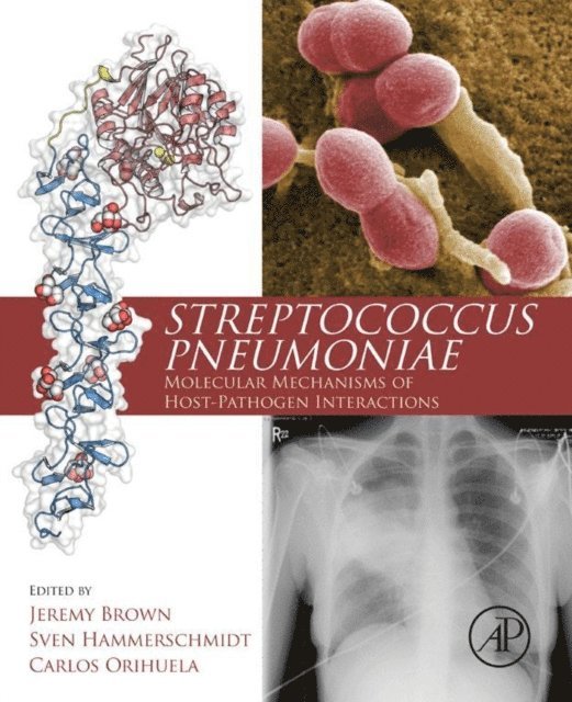 Carlos Orihuela, Sven Hammerschmidt, Jeremy Brown - Streptococcus Pneumoniae, E-bok
