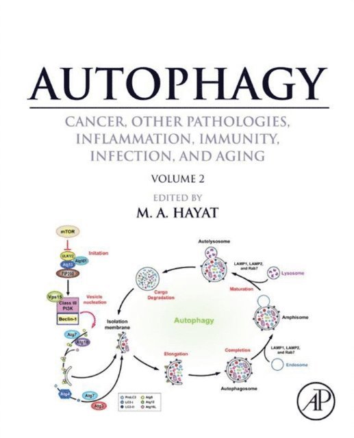 M. A. Hayat - Autophagy: Cancer, Other Pathologies, Inflammation, Immunity, Infection, and Aging, E-bok