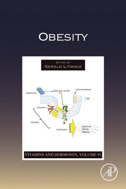 Obesity, E-bok